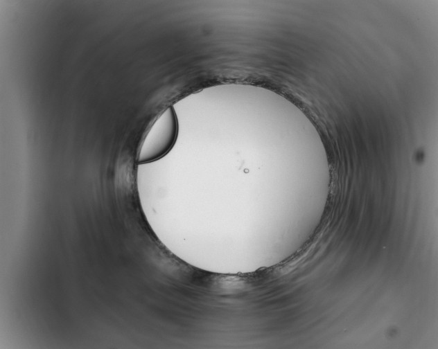 X0000102760287200808180938