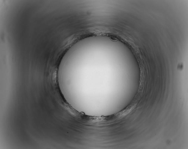 X0000102760288200808180938