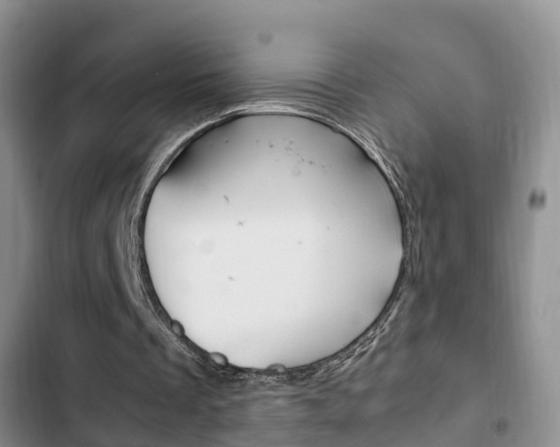 X0000102760289200808180938