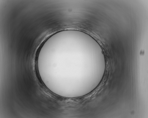 X0000102760290200808180938