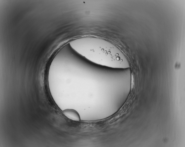 X0000102760291200808180938