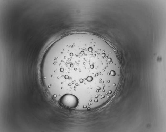 X0000102760293200808180938
