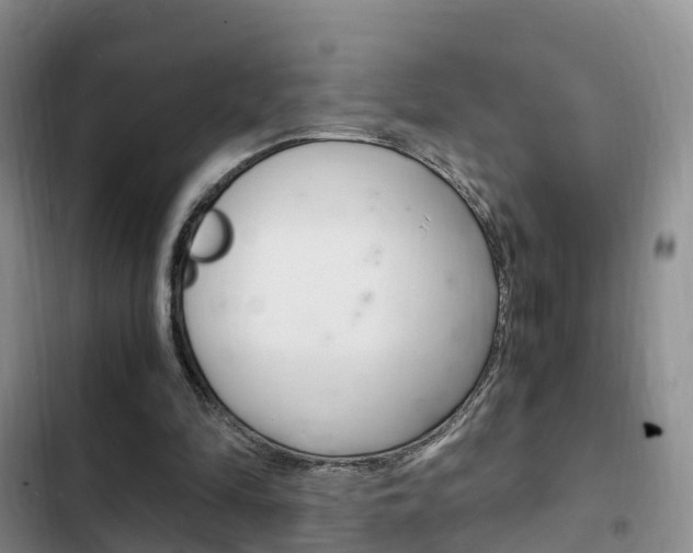 X0000102760294200808180938