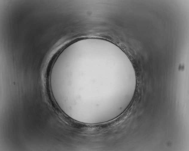 X0000102760295200808180938
