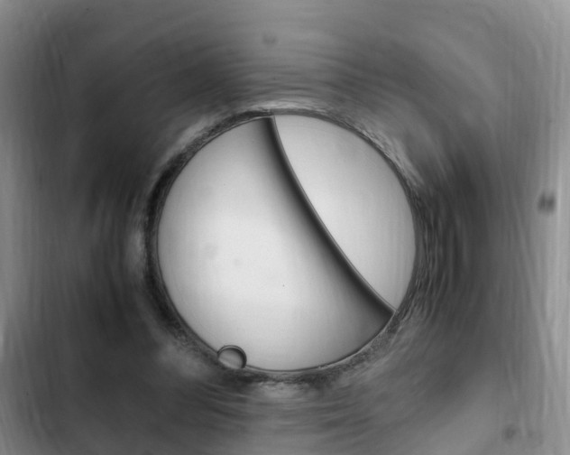 X0000102760300200808180938