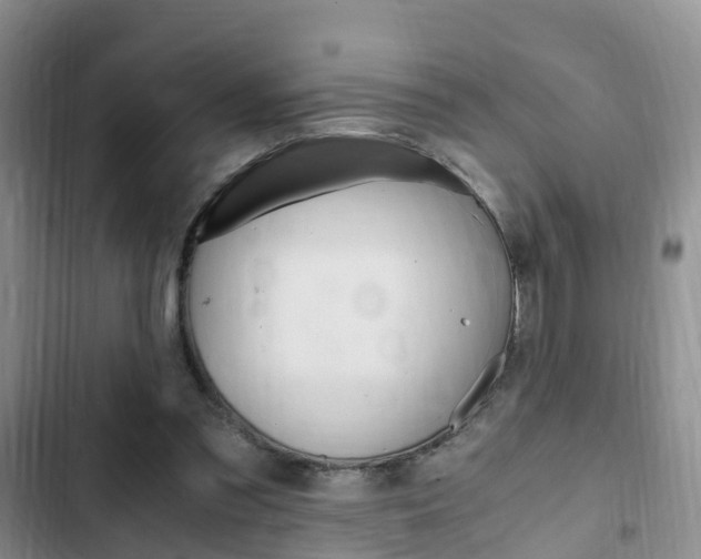 X0000102760301200808180938