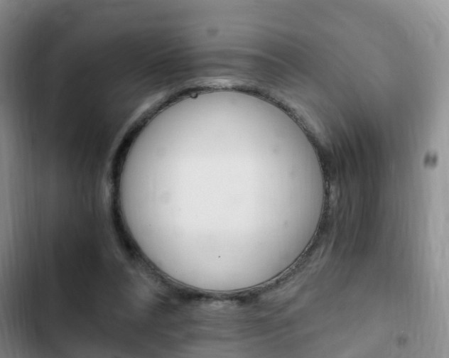 X0000102760304200808180938