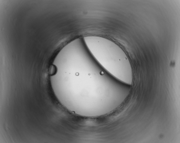 X0000102760308200808180938
