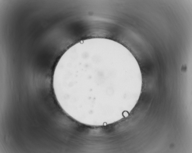 X0000102760309200808180937