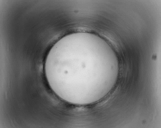X0000102760310200808180937