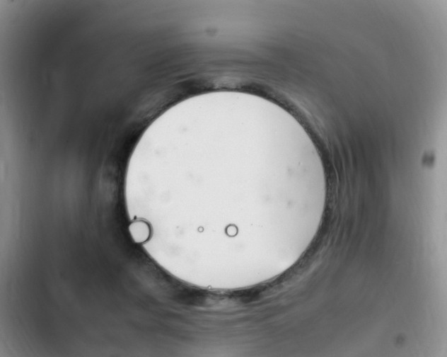 X0000102760311200808180937