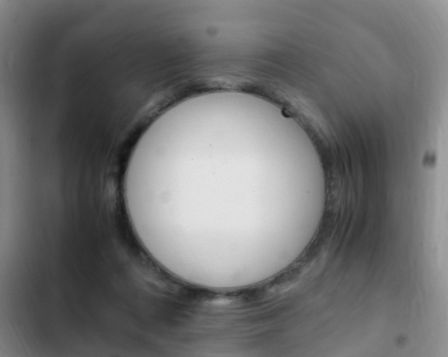 X0000102760312200808180937