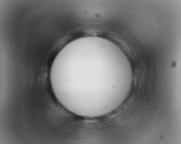 X0000102760314200808180937