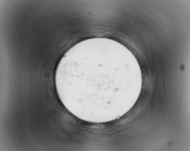 X0000102760317200808180937