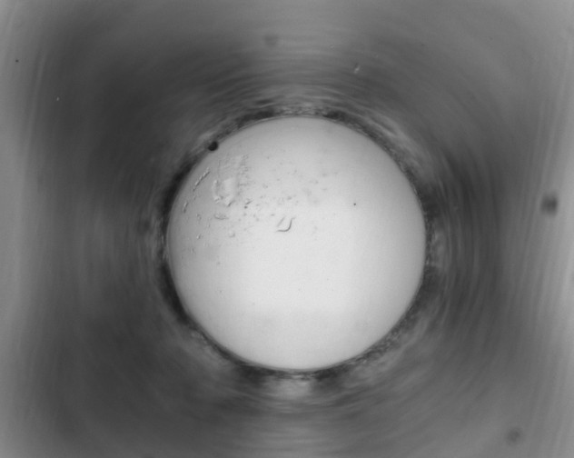 X0000102760318200808180937