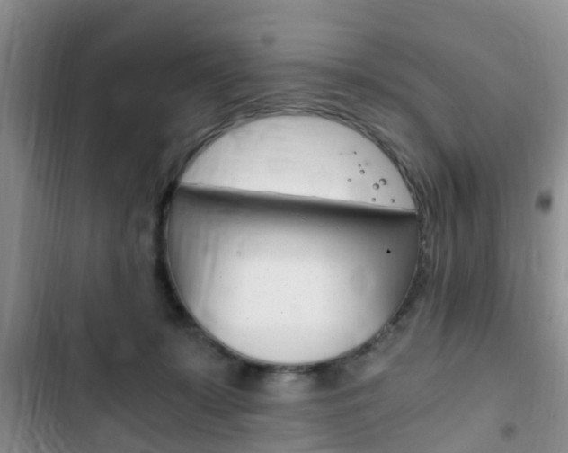 X0000102760319200808180937