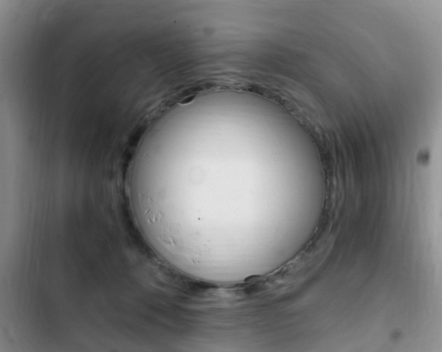 X0000102760320200808180937