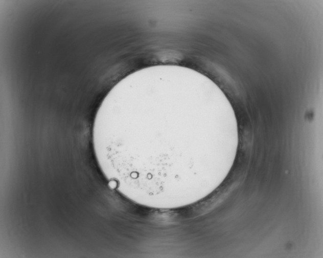 X0000102760321200808180937