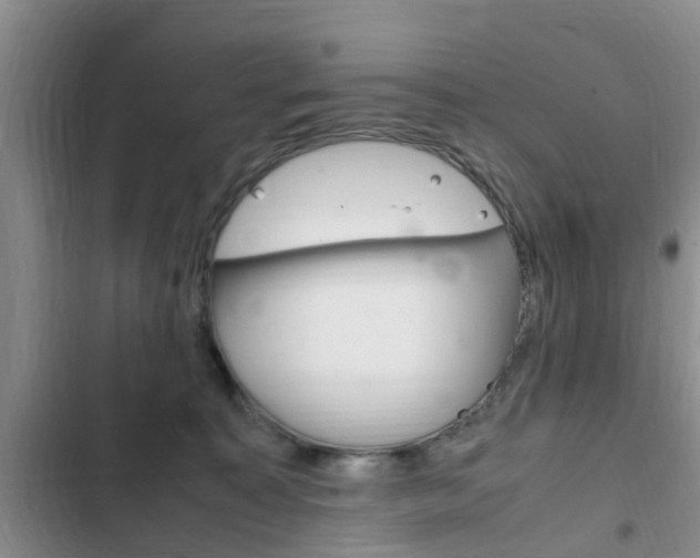 X0000102760323200808180937