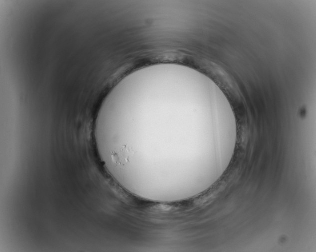 X0000102760326200808180937