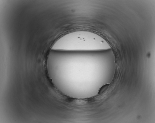 X0000102760327200808180937
