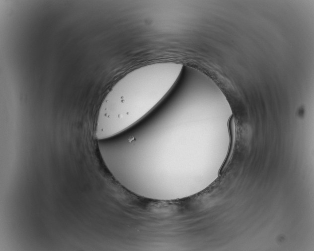 X0000102760331200808180937