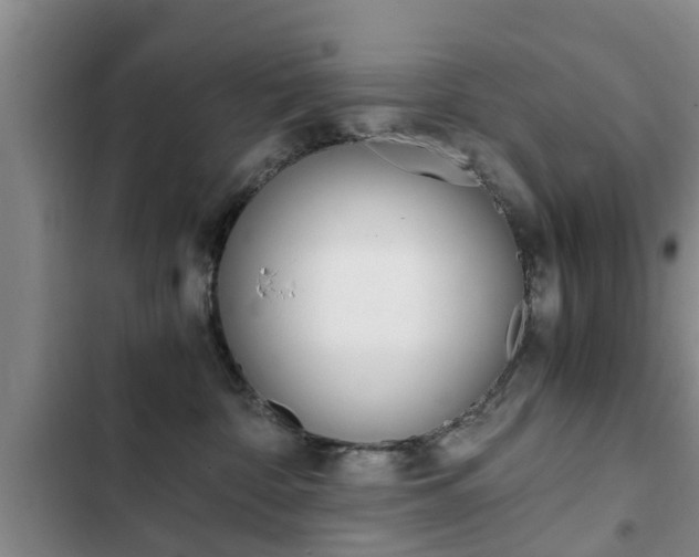 X0000102760332200808180937