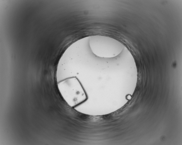 X0000102760333200808180937
