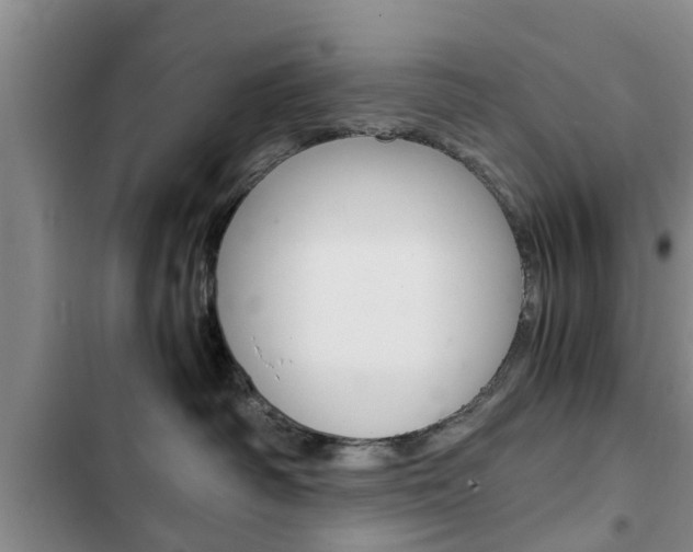 X0000102760334200808180937