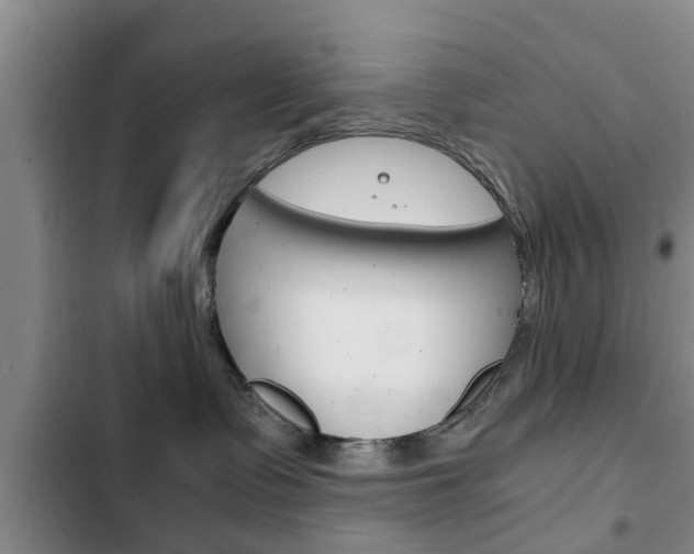 X0000102760335200808180937