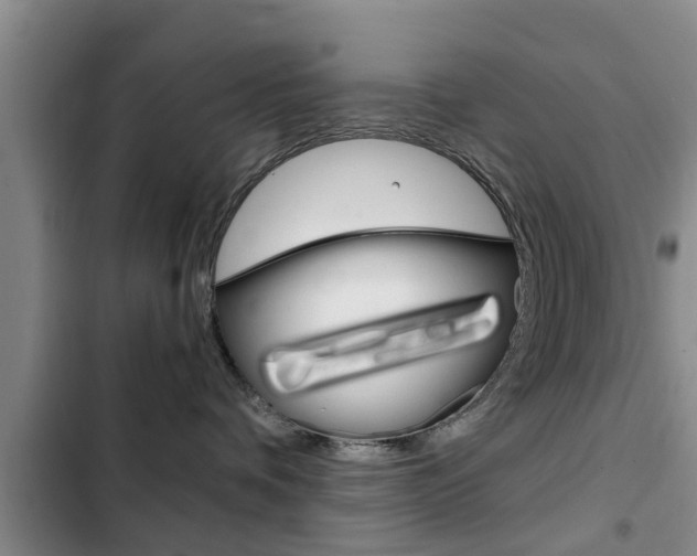 X0000102760336200808180937