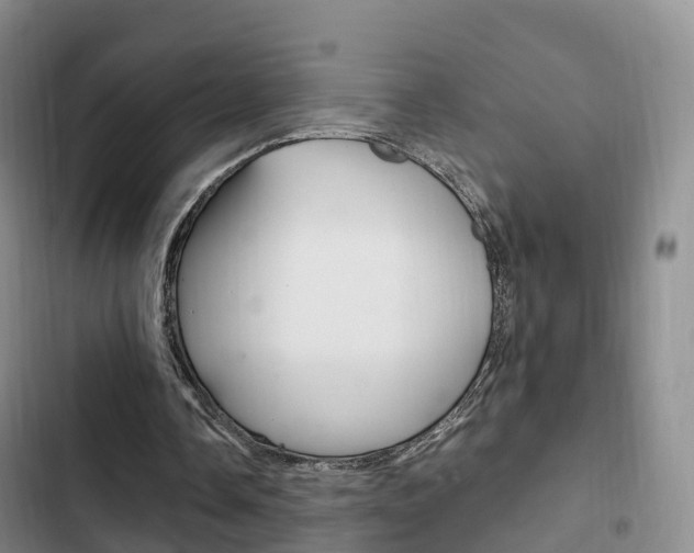 X0000102760338200808180936
