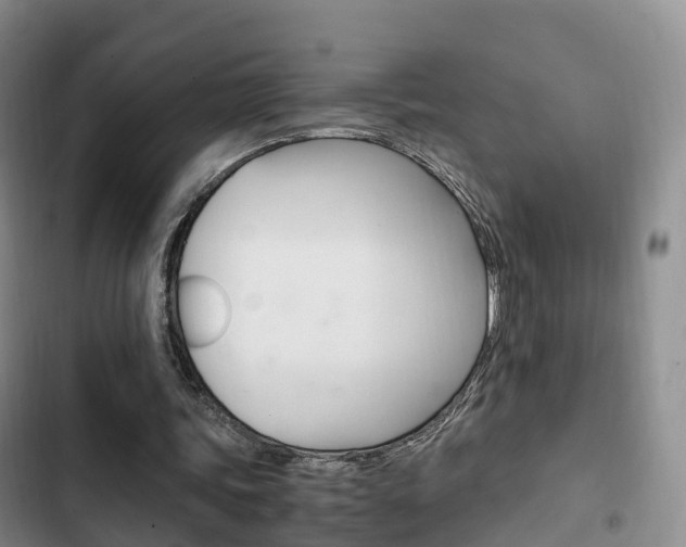 X0000102760339200808180936