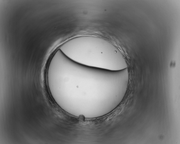 X0000102760340200808180936