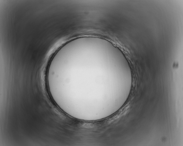X0000102760341200808180936