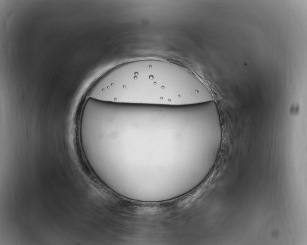 X0000102760342200808180936