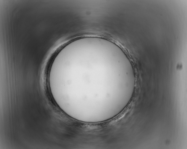 X0000102760343200808180936