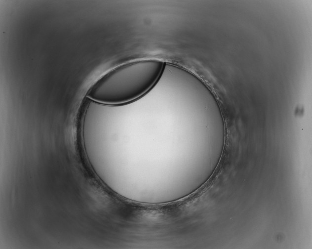 X0000102760344200808180937