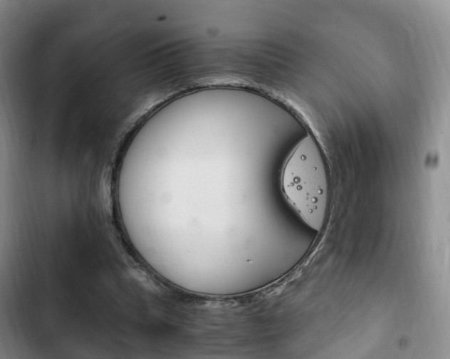X0000102760345200808180937