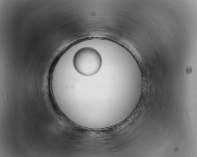 X0000102760346200808180937