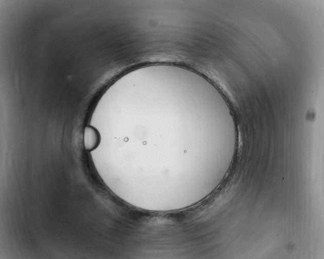 X0000102760348200808180937