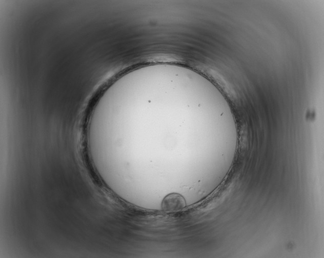 X0000102760351200808180937