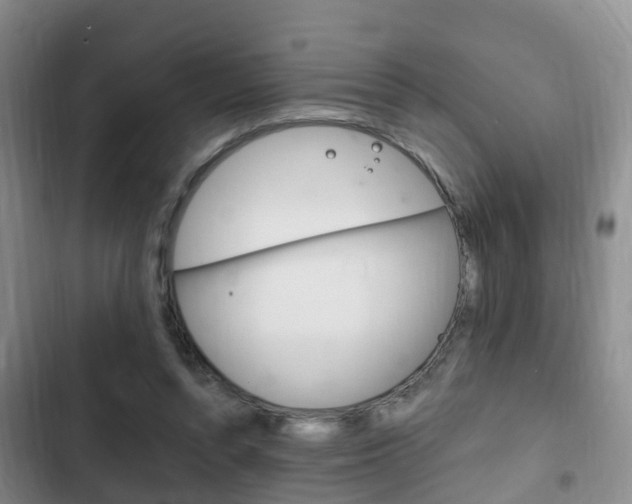X0000102760352200808180937