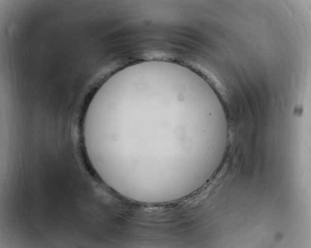 X0000102760353200808180937