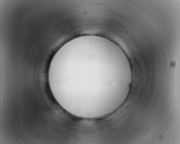 X0000102760354200808180937