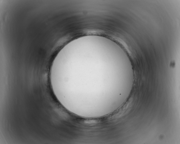 X0000102760357200808180937