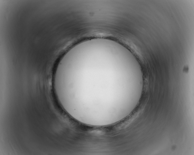 X0000102760358200808180937