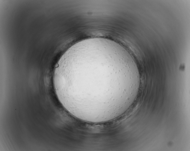 X0000102760359200808180937