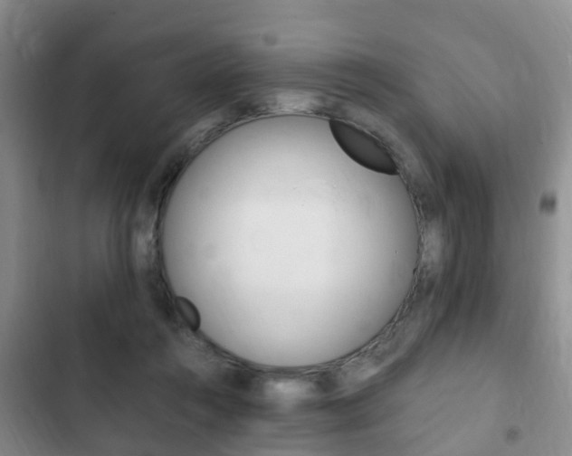 X0000102760360200808180937
