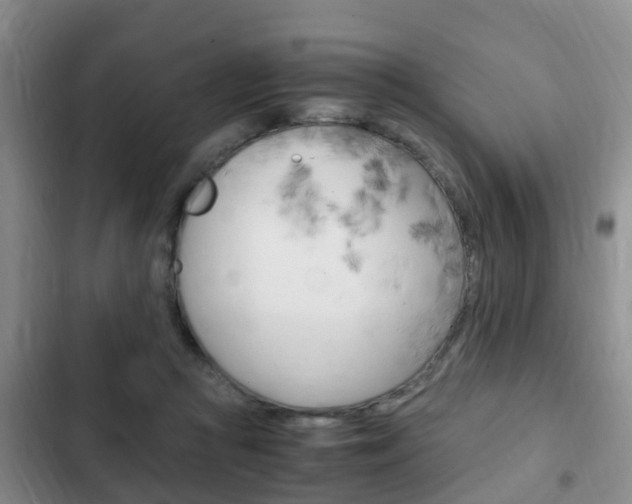 X0000102760361200808180937